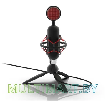 Микрофон Ritmix RDM-230 USB Eloquence картинка 3